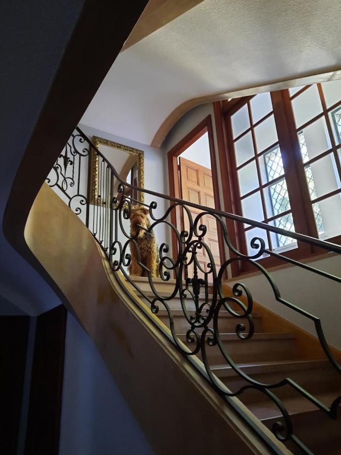 Le Clos Des Soyeux Saint-Victor-sur-Rhins Eksteriør billede