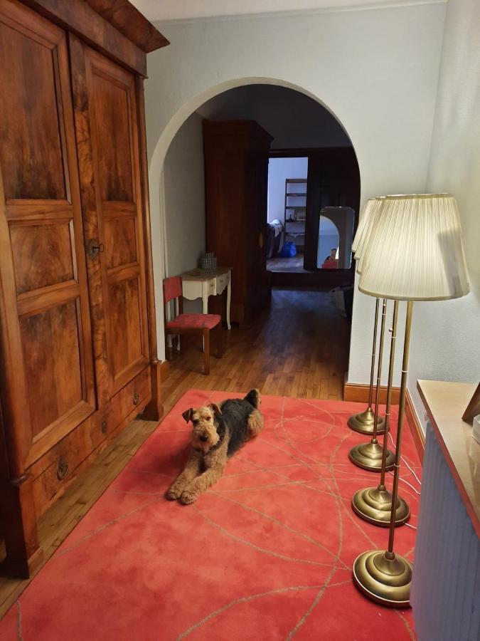 Le Clos Des Soyeux Saint-Victor-sur-Rhins Eksteriør billede