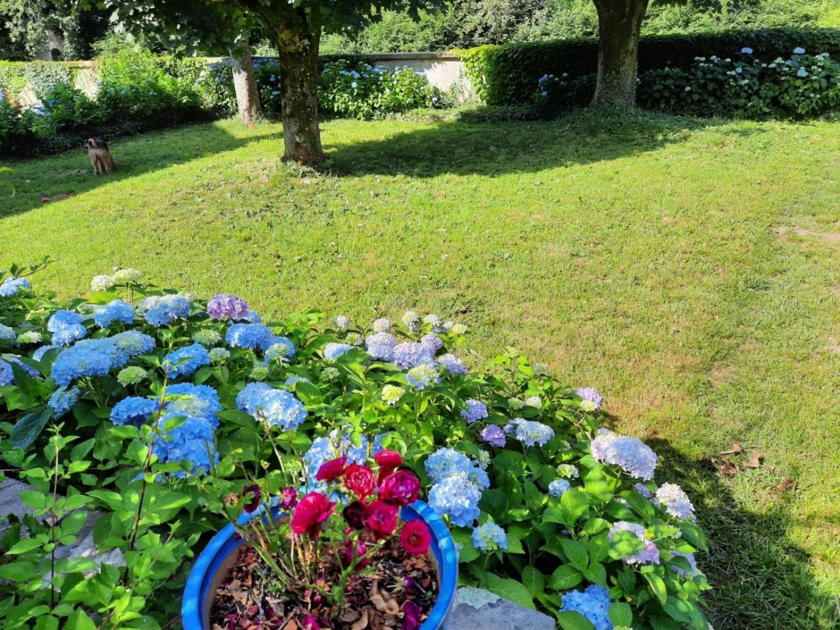 Le Clos Des Soyeux Saint-Victor-sur-Rhins Eksteriør billede