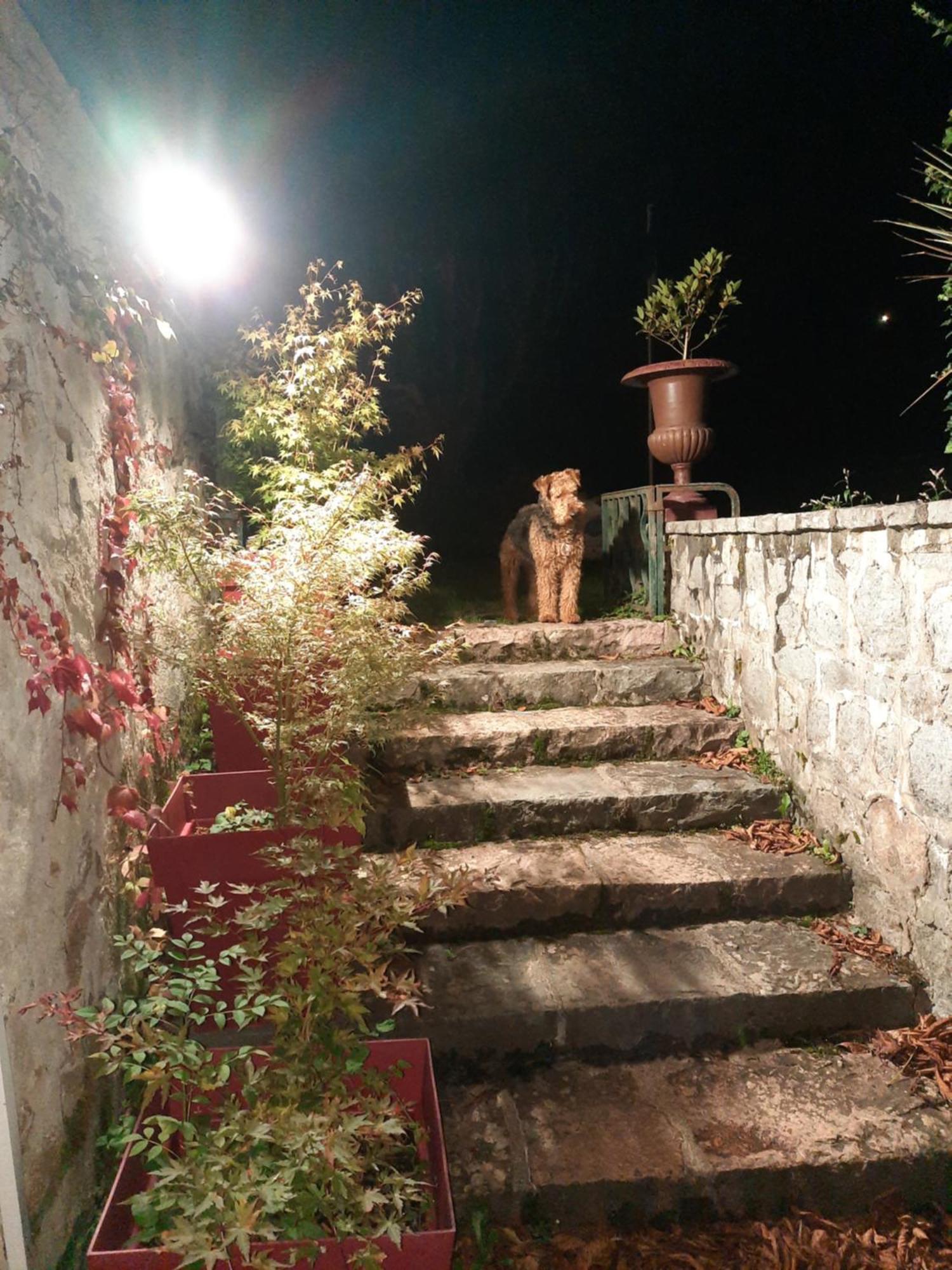 Le Clos Des Soyeux Saint-Victor-sur-Rhins Eksteriør billede